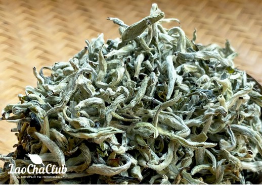 Сюэ Лун, Зелёный чай, 100 г, 2023
