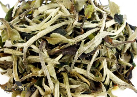 Юэ Гуан Бай, Белый чай, 100 г, 2023